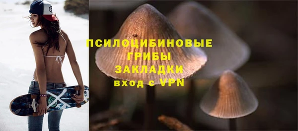 ешки Аркадак