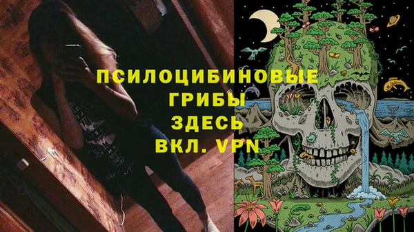 прущий лед Арсеньев