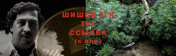 прущий лед Арсеньев